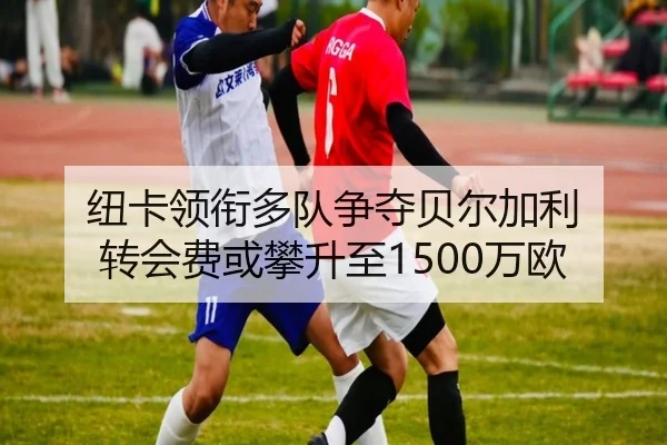 纽卡领衔多队争夺贝尔加利 转会费或攀升至1500万欧